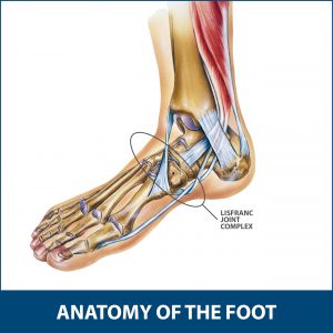cedera Lisfranc